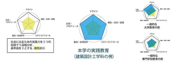 実践力バランスを表すダイヤグラム