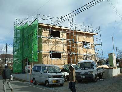 外壁下地合板取付完了