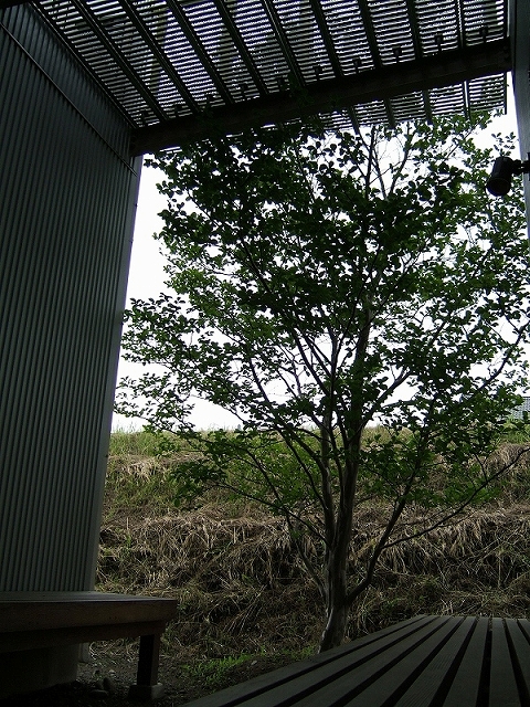風の透る家、完成019