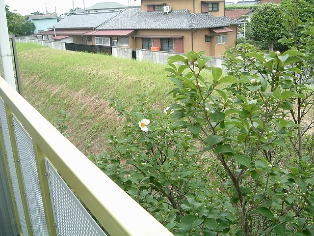 風の透る家、完成095